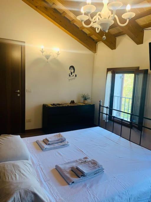 梅斯特雷Benvenuti In Casa Peluca!公寓 外观 照片